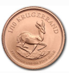 zlatnik krugerrand 2025 1/10