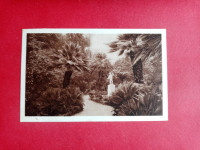 Dubrovnik.Lokrum,kip