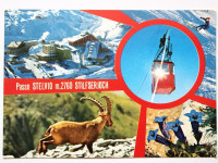 Razglednica PASSO DELLO STELVIO (Italija) z znamkama