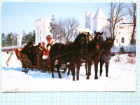 Razglednica ZIMSKA VPREGA