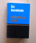 Integralna joga, Šri Aurobindo