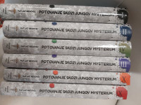 REGOVEC POTOVANJE SKOZI JUNGOV MYSTERIUM
