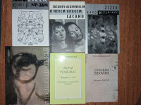 Žižek, Lacan, Freud, Foucault