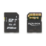 DELOCK Express pomnilniška kartica 256 GB