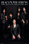 NOV POSTER BLACK VEIL BRIDES