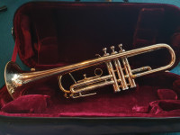 Trobenta Wohlrab "Golden Star"
