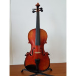 Violina celinka 4/4 mojstrske izdelave najem