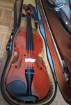 violina, celinka_V. Demšar