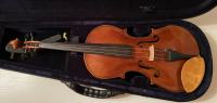 Violina model Stainer letnik 1850
