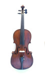 violina Ettore Sofriti
