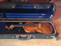 Violina Schuller