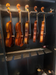 Violine od 300-3000 EUR