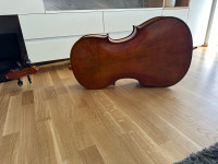 Violončelo, celinski