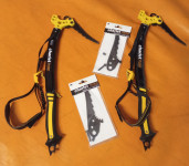 Cepini  Charlet moser