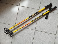 Pohodne palice ELAN