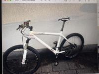 Commencal Skin
