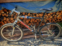 giant moško kolo