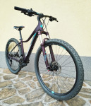 Gorsko kolo CUBE Access Race (S)