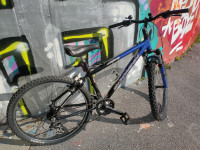 GORSKO KOLO SCHWINN MESA 26"