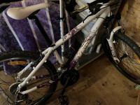 Gorsko kolo Scoot Contessa 50