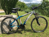 GORSKO WILIER - 18 CARATI (ŽENSKO)