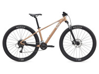 KOLO LIV Tempt 29 3