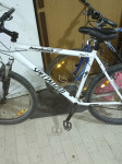 Kolo SPECIALIZED