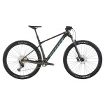 KUPIM HARDTAIL SCOTT/TREK/GIANT 29" "L" - CELJE