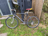 MTB za 30€