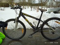 Scott 24