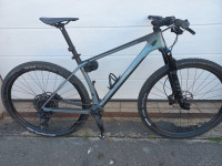 Scott scale 920