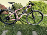 Specialized 2020 Epic Hardtail