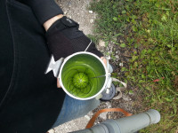 KAKO NAPELJATI JEKLENO VRV VISOKO NA DREVO?