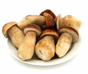 SVEŽI JURČKI KUPIM