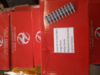 Pulsa žeblji 16mm in 22mm