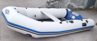 Gumenjak Zodiac zoom 310-s