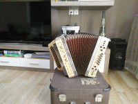 DIATONIČNA HARMONIKA KINK