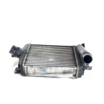 144965154R RADIATORE INTERCOOLER SCAMBIATORE ARIA/ARIA RENAULT CLIO 1.