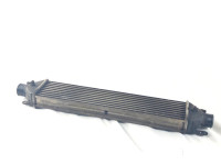 51783791 RADIATORE INTERCOOLER SCAMBIATORE ARIA/ARIA LANCIA DELTA 1.6