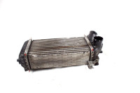 VARNOSTNI PAS OEM N. 8V61-9L440-CE ORIGINAL REZERVNI DEL FORD CMAX GRA