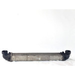 A1695000000 RADIATORE INTERCOOLER SCAMBIATORE ARIA/ARIA MERCEDES CLASS
