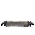 A2465000900 RADIATORE INTERCOOLER SCAMBIATORE ARIA/ARIA MERCEDES CLA 1
