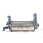 2163154 RADIATORE INTERCOOLER SCAMBIATORE ARIA/ARIA FORD ECOSPORT 1.0