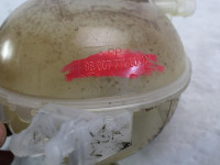 HLADILNA VODA ZA RADIJATORJE OEM N. 9800777280 ORIGINAL REZERVNI DEL C