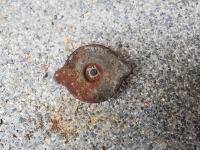 Pokrov za vodni haldinik za fička ZASTAVO 750