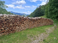 Bukova drva