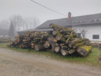 hlodovina