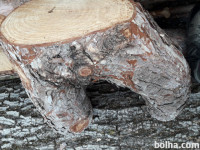 Les bor, zanimiva oblika, za oblikovalce