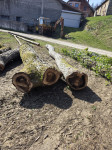 Limbarska gora 6