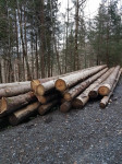 prodam okrogel smrekov les, dolžine od 6-8 m